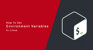 How to Set Environment Variables in Bash on Linux