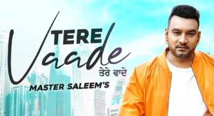 Tere Vaade Lyrics – Master Saleem