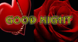 Good Night Heart Image