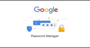 Everything You Need to Know About the Google Password Manager