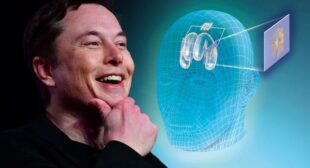 Elon Muskâs Neuralink Will Directly Provide Music to the Brain