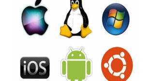 Which operating system should you choose for your next computer?