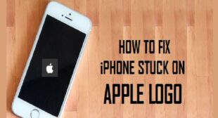 iPhone Stuck on the Apple Logo Screen? Hereâs How to Fix it – Setup Directory