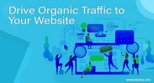 Best Ways to Drive Organic Traffic to Your Website