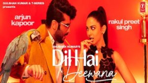 DIL HAI DEEWANA LYRICS