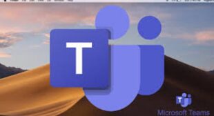 How to Install and Set Up Microsoft Teams on Mac