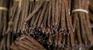 Buy Vanilla Beans in Wholesale to Use for Baking and Beauty Purposes