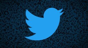 Tweet Reaction Picker, New Privacy Features Are Coming Soon on Twitter