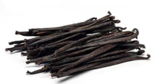 Vanilla Bean: One Spice with Uses in Different Industries