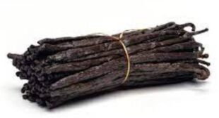 Purchase Vanilla Planifolia Bean Pods From Sale for Culinary Purposes