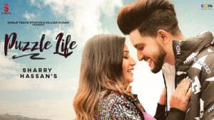 PUZZLE LIFE LYRICS – Sharry Hassan