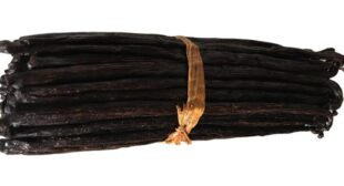 Buy Vanilla Beans Bulk to Make Homemade Vanilla Paste