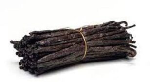 Buy Madagascar Vanilla Beans to Prepare Homemade Powder & Extract