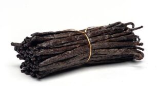 Madagascar Vanilla Beans: Beans with Extensive Cooking & Baking Applications