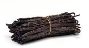 Vanilla Beans Offer Plentiful Skin Benefits