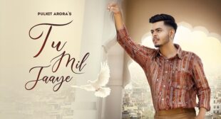 TU MIL JAAYE LYRICS – Pulkit Arora