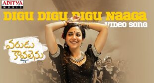 Digu Digu Digu Naaga Lyrics