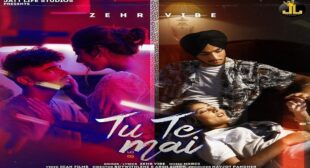 TU TE MAIN LYRICS – ZEHR VIBE