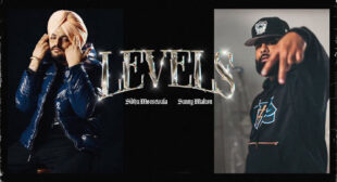 Levels Song Lyrics
