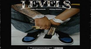 LEVELS LYRICS