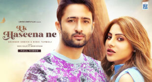 Ek Haseena Ne Song Lyrics