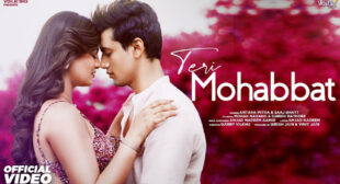 Teri Mohabbat Lyrics and Video