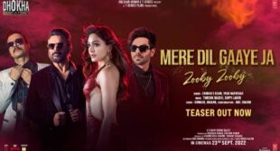 Mere Dil Gaaye Ja Zooby Zooby Song Lyrics