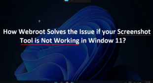 How To Resolve if your Screenshot Tool is Not Working in Window? Webroot