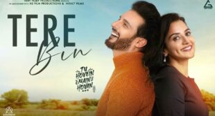 Tere Bin Lyrics by Jaspinder Narula