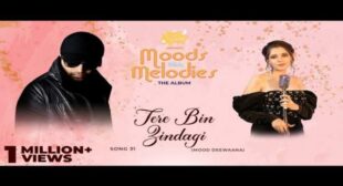 Tere Bin Zindagi – Maanuni Lyrics