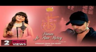 Tum Jo Na Hote Lyrics by Rajashri Bag