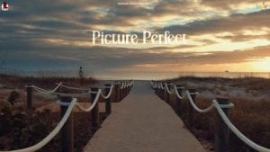 Picture Perfect Song – Navaan Sandhu